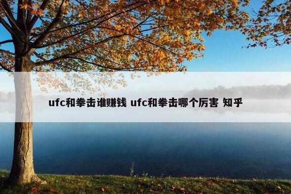 ufc和拳击谁赚钱 ufc和拳击哪个厉害 知乎