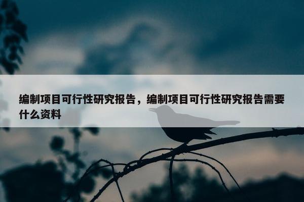 编制项目可行性研究报告，编制项目可行性研究报告需要什么资料