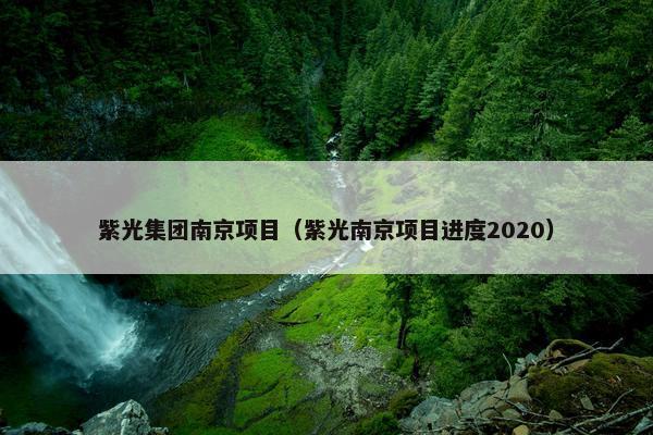 紫光集团南京项目（紫光南京项目进度2020）