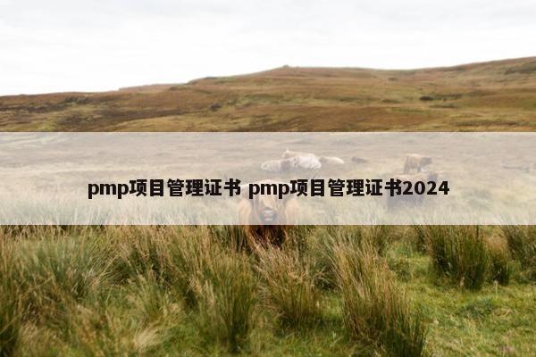pmp项目管理证书 pmp项目管理证书2024