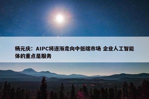 杨元庆：AIPC将逐渐走向中低端市场 企业人工智能体的重点是服务