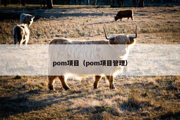 pom项目（pom项目管理）