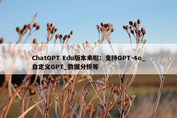 ChatGPT Edu版本来啦：支持GPT-4o_自定义GPT_数据分析等