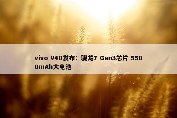 vivo V40发布：骁龙7 Gen3芯片 5500mAh大电池